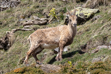 24-04-25 le Tourrond, IMG_2064