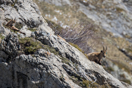 24-04-25 le Tourrond, IMG_2069