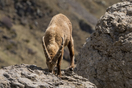 24-04-25 le Tourrond, IMG_2092