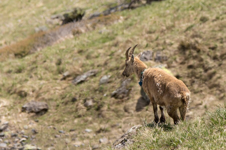 24-04-25 le Tourrond, IMG_2118