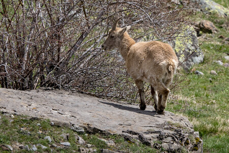 24-04-25 le Tourrond, IMG_2123