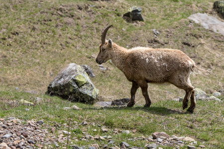 24-04-25 le Tourrond, IMG_2127