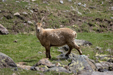 24-04-25 le Tourrond, IMG_2128