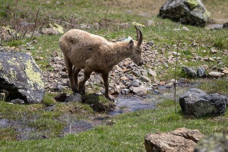 24-04-25 le Tourrond, IMG_2135