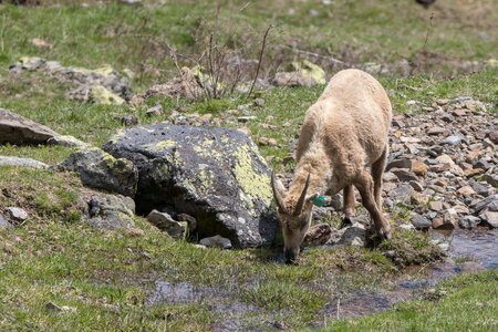 24-04-25 le Tourrond, IMG_2136