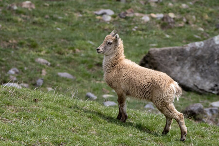 24-04-25 le Tourrond, IMG_2140