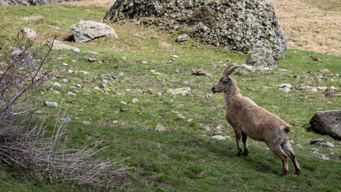 24-04-25 le Tourrond, IMG_2142