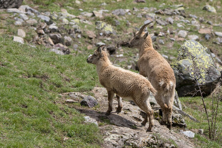 24-04-25 le Tourrond, IMG_2144