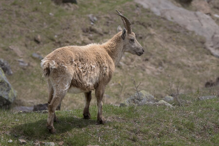 24-04-25 le Tourrond, IMG_2147