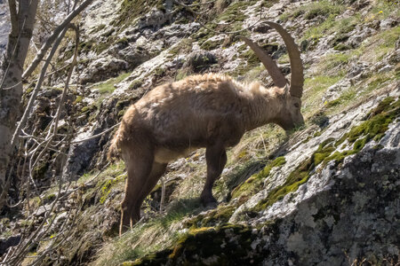 24-04-25 le Tourrond, IMG_2165