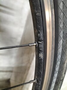 vélo, IMG20250425183532