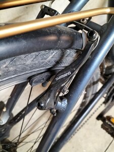 vélo, IMG20250425183352