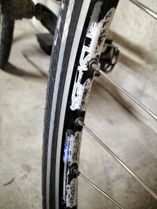 vélo, IMG20250425183255
