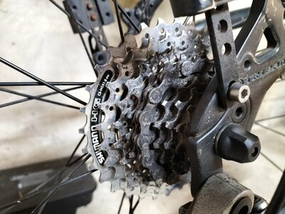 vélo, IMG20250425183228