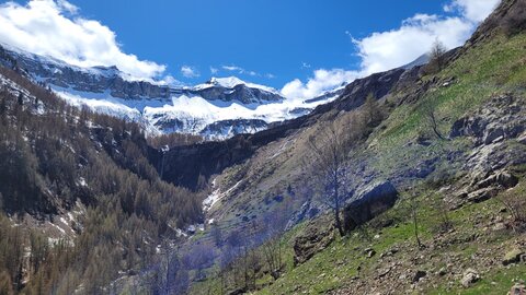 24-04-25 le Tourrond, 20250424_143922