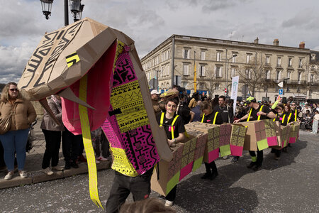 Carnaval des deux rives 2025, _K1_S3_4482