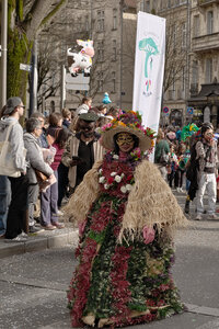 Carnaval des deux rives 2025, _K1_S3_4737
