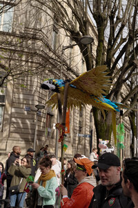 Carnaval des deux rives 2025, _K1_S3_4778