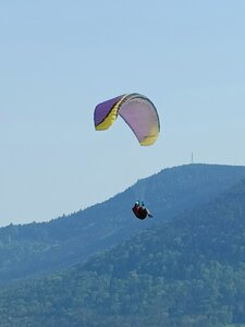 1er mai à Breitenbach, IMG20250501165558