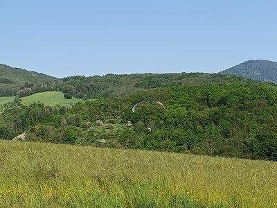 1er mai à Breitenbach, IMG20250501170757