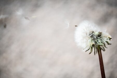 L'Instant Photo 84 : défi avril 2025 - inspiration, Inspiration01 - Evelyne