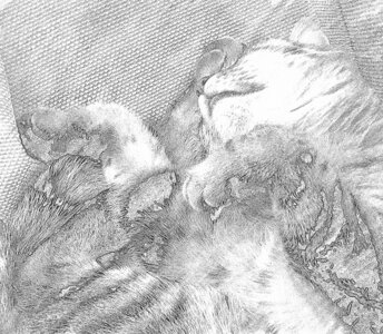 L'Instant Photo 84 : défi avril 2025 - inspiration, Inspiration05 - François