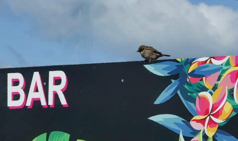 L'Instant Photo 84 : défi avril 2025 - inspiration, Inspiration09 - Cathy