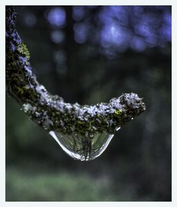 L'Instant Photo 84 : défi avril 2025 - inspiration, Inspiration13 - Corinne