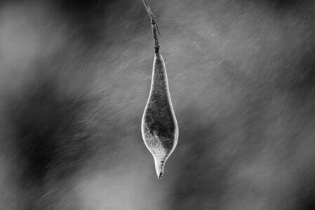 L'Instant Photo 84 : défi avril 2025 - inspiration, Inspiration17 - Philippe C