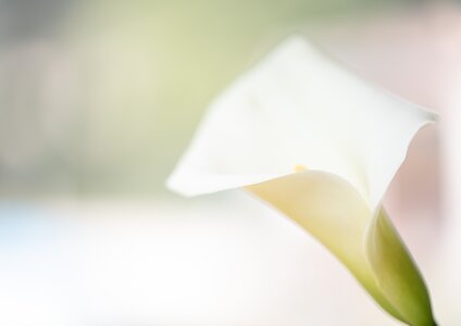 L'Instant Photo 84 : défi avril 2025 - inspiration, Inspiration24 - eVELYNE