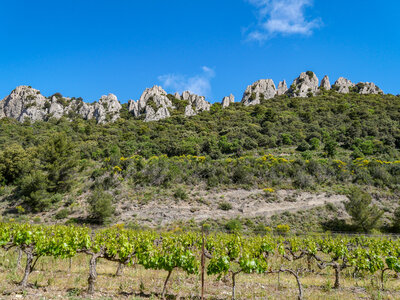 11-14-05-25 gigondas, P1098274