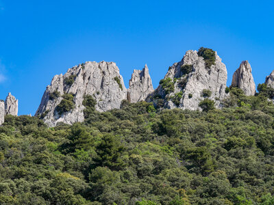 11-14-05-25 gigondas, P1098276
