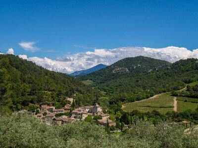 11-14-05-25 gigondas, P1098280