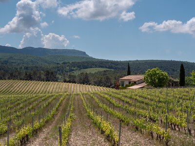 11-14-05-25 gigondas, P1098299