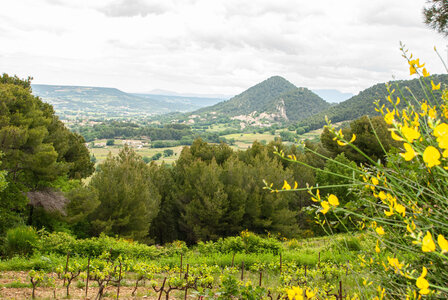 LES DENTELLES DE MONTMIRAIL 1er jour 11 mai 2025 autour de Sablet, DSC_0083