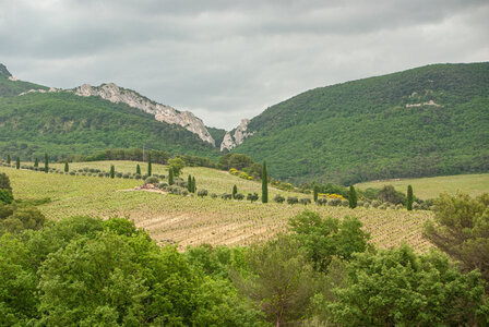 LES DENTELLES DE MONTMIRAIL 1er jour 11 mai 2025 autour de Sablet, DSC_0088