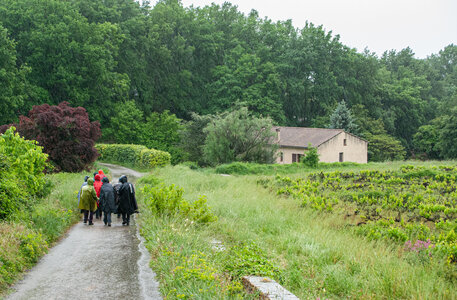 LES DENTELLES DE MONTMIRAIL 1er jour 11 mai 2025 autour de Sablet, DSC_0096