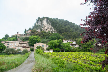 LES DENTELLES DE MONTMIRAIL 1er jour 11 mai 2025 autour de Sablet, DSC_0100