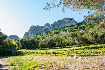 LES DENTELLES DE MONTMIRAIL 2eme jour 12 mai 2025 Les Dentelles Sarrasines, DSC_0122