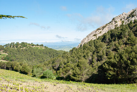 LES DENTELLES DE MONTMIRAIL 2eme jour 12 mai 2025 Les Dentelles Sarrasines, DSC_0127