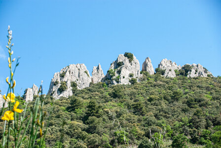 LES DENTELLES DE MONTMIRAIL 2eme jour 12 mai 2025 Les Dentelles Sarrasines, DSC_0139
