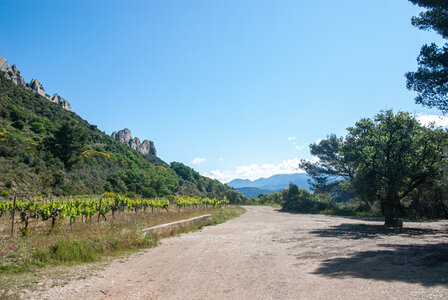 LES DENTELLES DE MONTMIRAIL 2eme jour 12 mai 2025 Les Dentelles Sarrasines, DSC_0142