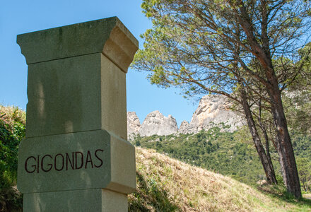 LES DENTELLES DE MONTMIRAIL 2eme jour 12 mai 2025 Les Dentelles Sarrasines, DSC_0165