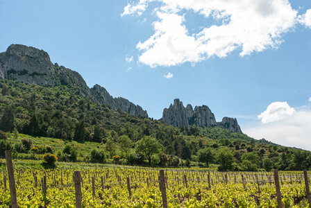 LES DENTELLES DE MONTMIRAIL 2eme jour 12 mai 2025 Les Dentelles Sarrasines, DSC_0181