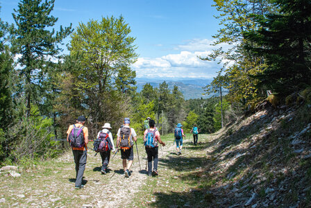 LES DENTELLES DE MONTMIRAIL 3eme jour 13 mai 2025 Le sommet du Ventoux par le versant nord, DSC_0242