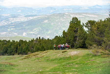 LES DENTELLES DE MONTMIRAIL 3eme jour 13 mai 2025 Le sommet du Ventoux par le versant nord, DSC_0248