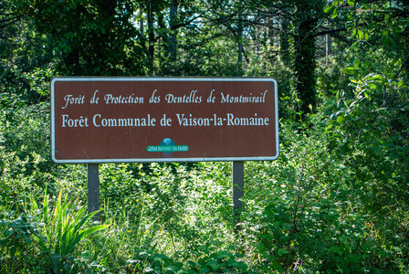LES DENTELLES DE MONTMIRAIL 4eme jour 14 mai 2025 Tour de Vaison La Romaine par la colline, DSC_0264