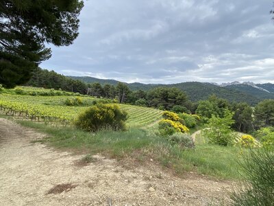 Montmirail J 01, IMG_2019