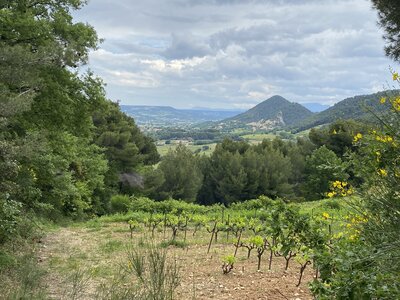 Montmirail J 01, IMG_2020