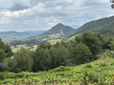Montmirail J 01, IMG_3581